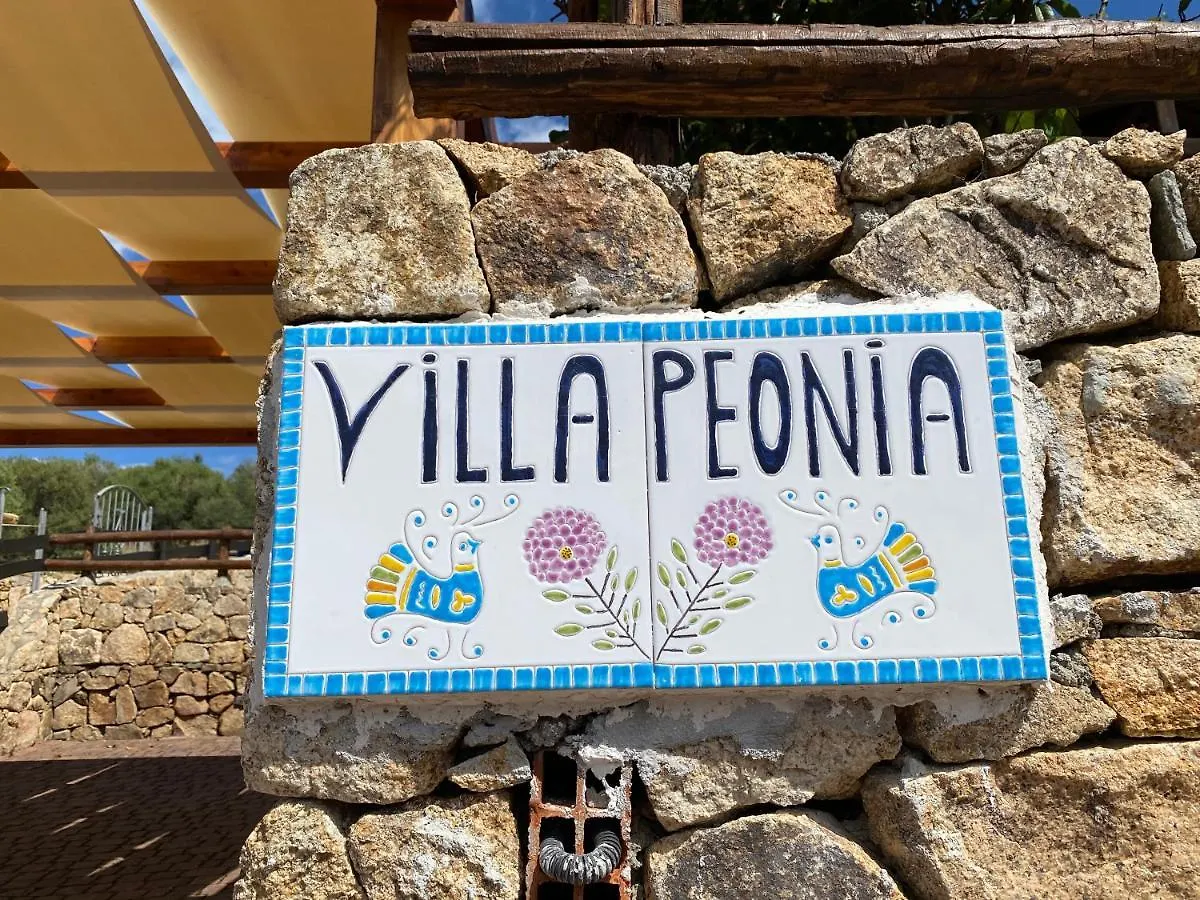 Villa Peonia Budoni 0*,  Italy